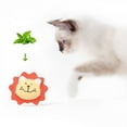 thumbnail image 3 of Grandes Ventes!! Animaux Peluche Chien Chat Jouets Mordre Résistant Chien Propre Mâcher Chiot Formation Jouet Doux Forme de Lion Animal Fournitures Chat Menthe Jouet, 3 of 6