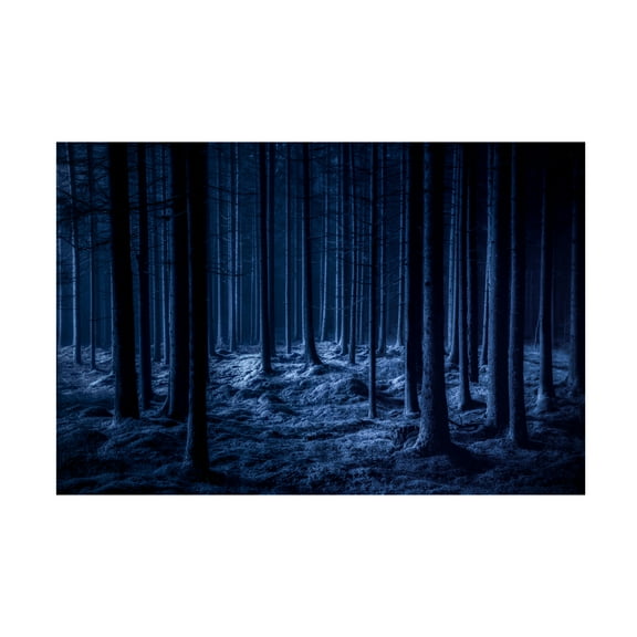 Canvas Wall Art - Benny Pettersson 'Spooky' Wall Art for Living Room, Bedroom, or Office Décor by Trademark Fine Art - 19 x 12 Inches