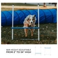 thumbnail image 2 of 3 Piece Dog Agility Equipment Set | Agility Jump | Tire Jump | 10’ Tunnel with Sandbags, 2 of 9