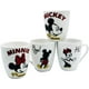 thumbnail image 5 of RSXXI VAJ MICKEY RSXXI 2415-3088, 5 of 8