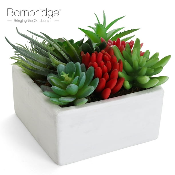 Bornbridge Artificial Succulent Plant Kit Diy Fake Plants Potted Succulents Set Faux Garden In Ceramic Planter Com Diy Fake Succulent Plants, Potted Succulent Garden