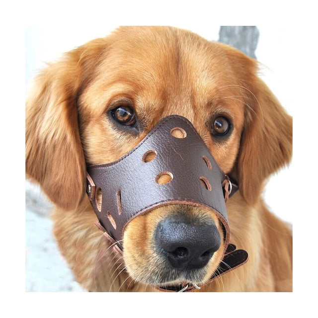 Muselière Anti-aboiement pour Les Grands Chiens de Petite Taille Moyenne M esquí esquí Gafas de esquí
