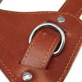 Pet Artist Genuine Leather Dog Harness Heavy Duty Training Adjustable for Bulldog Pitbull