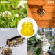 thumbnail image 4 of Paquete de 2 trampas para avispas para colgar al aire libre, mata chaquetas amarillas, trampas para abejas carpinteras para exteriores, trampa para avispas de plástico, mata insectos, amarillo, 4 of 5