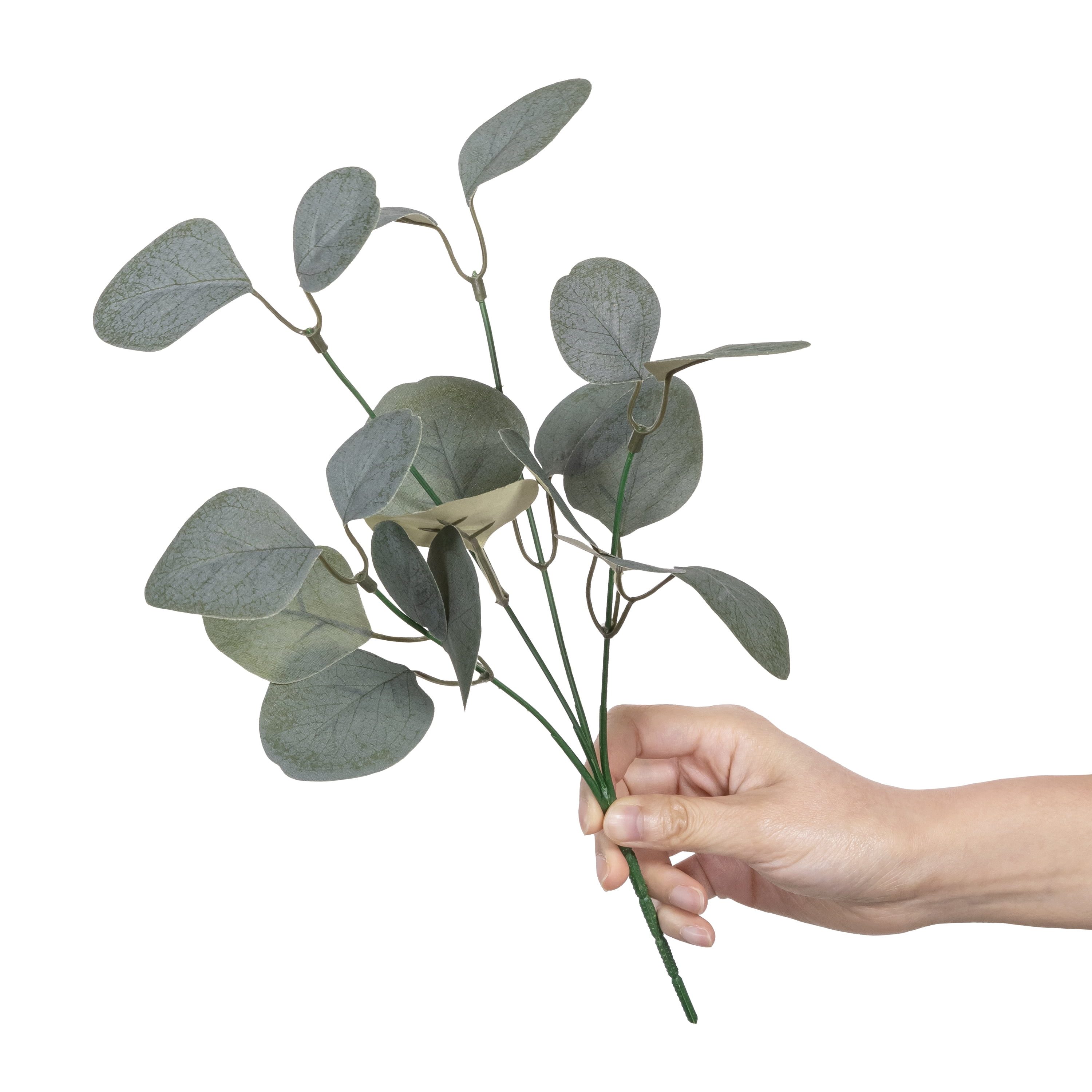 13-inch Artificial Silk Green Silver Dollar Eucalyptus Greenery Pick, for Indoor Use, by Mainstays