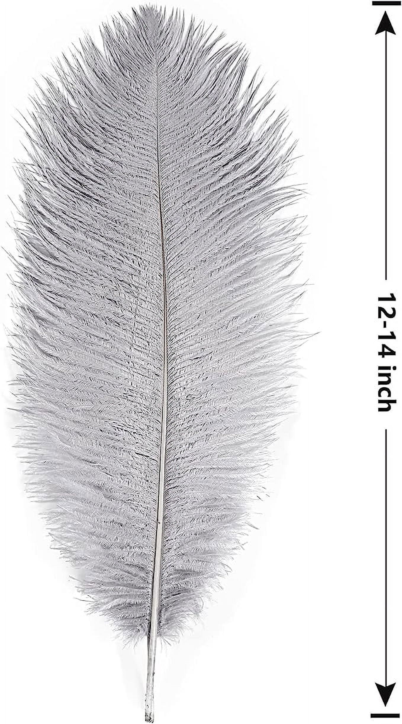 Nvzi Gray Ostrich Feathers 12pcs Large Natural Bulk 12-14Inch 30cm-35cm for Wedding Party Centerpieces Easter Gatsby and Home Decoration Feathers