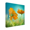 thumbnail image 2 of Peiling Lee 'Play Time Flowers' Outdoor Canvas, 2 of 3