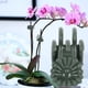 thumbnail image 3 of Clips De Plantas Para Plantas Trepadoras, 100 Piezas De Plástico De Crisantemo Forma De Soporte De Plantas Clips De Jardín Clips De Fijación De Plantas Para Patios Jardines, 3 of 7