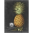 thumbnail image 2 of Brookshaw, George 25x32 Black Ornate Wood Framed with Double Matting Museum Art Print Titled - Royal Brookshaw Pineapple I, 2 of 4