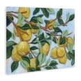 thumbnail image 2 of Stupell Industries Modern Sunshine Citrus Tree Canvas Art, 20 x 16, by June Erica Vess, 2 of 8