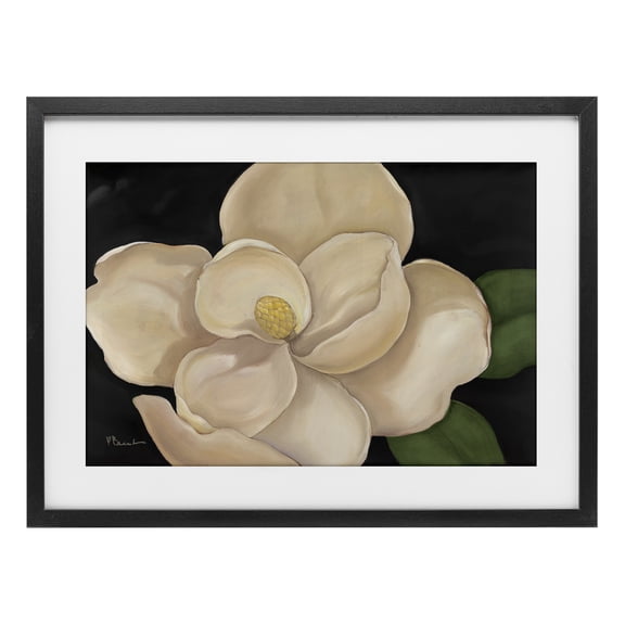 Stupell Industries Transitional Magnolia Grandiflora on Black Black Framed Print Under Glass, 20 x 14, by Paul Brent
