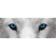 thumbnail image 2 of CafePress - Arctic Wolf Mugs - 11 oz Ceramic Mug - Novelty Coffee Tea Cup, 2 of 4