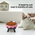 thumbnail image 6 of Elevated Cat Bowls, Raised Stainless Steel Cat Bowl with Cute Stand, 5.59in Wide Raised Food and Water Dish for Cats, Kitten, Puppies, 6 of 6