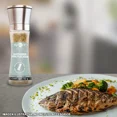 thumbnail image 2 of Alpont Kit Molinillo Sazonador Pasta, Aves Carnes, Pescados, 2 of 5