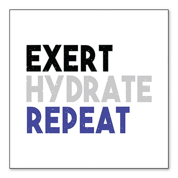 DistinctInk Custom Bumper Sticker - 8" x 8" Decorative Decal - White Background - Exert Hydrate Repeat