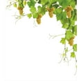 thumbnail image 3 of Vineyard Duvet Cover Set, Collage of Wine Leaves on Bunch Farming Natural Rural Tasty Food Berry Image, Decorative 2 Piece Bedding Set with 1 Pillow Shams, Twin Size, Green Yellow, by Ambesonne, 3 of 3