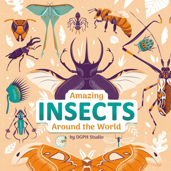 Amazing Insects Around the World, (Hardcover)