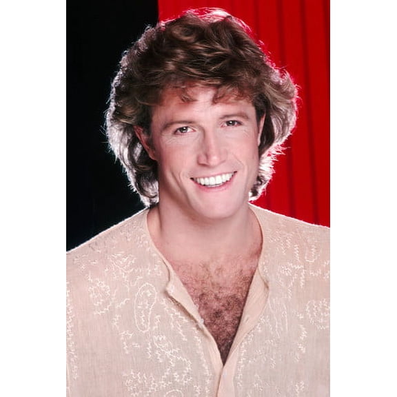 Andy Gibb 24x36 Poster