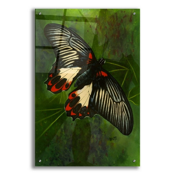 Epic Art 'Simplicity' by Barbara Keith, Acrylic Glass Wall Art, 24"x36"