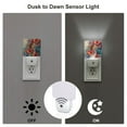 thumbnail image 2 of KLL Butterflies On Rocky Cliff for Night Lights,Auto Sensor Night Lamp Plug in Night Light with Dusk-to-Dawn Light Sensor LED Nightlightfor Adults & Kids Room/Bedroom/Hallway, 2 of 7