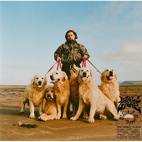 What I Breathe Mall Grab (Vinyl Record)