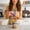 Purple, variant on 2 pcs Silicone Spatula, All-in-One Cake Butter Spreader for Baking, Non-Scratch Heat Resistant Dough Scraper, Flexible Frosting tool for Kitchen