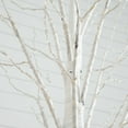 thumbnail image 3 of Nearly Natural 3ft. Pre-Lit Artificial White Birch Tree with 92 Warm White LED Lights, 3 of 11