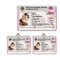 thumbnail image 1 of Kit Credencial Para Mascotas Tipo Ine, Ife, Gato, Con Envío, 1 of 5