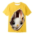 thumbnail image 4 of Huachaog Short Sleeve T Shirts for Boys Easter Cartoon Print Short Sleeves Colorful Graphic Tees Tops,12-13 Y, 4 of 4