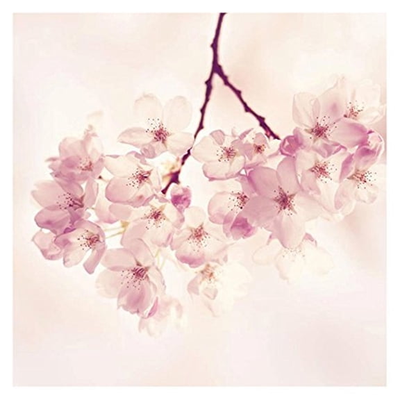 Marmont Hill "Cherry Blossoms" Painting Print on Wrapped Canvas
