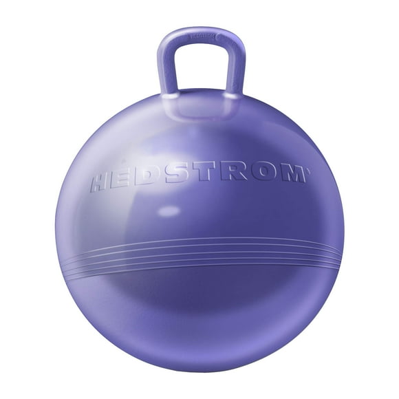 Hedstrom 15 Pouces" Trémie Amusante Violet Métallique