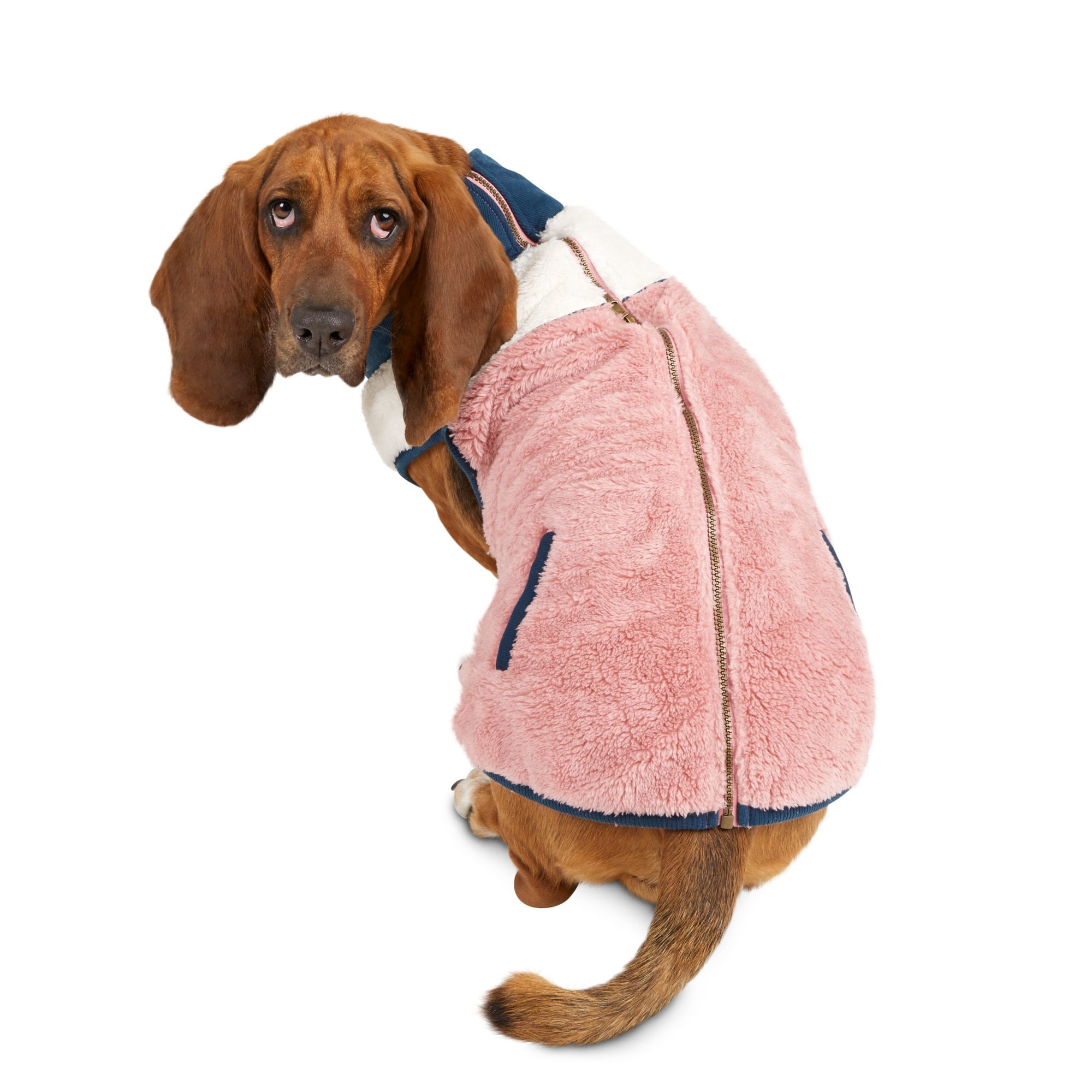 pink dog jacket