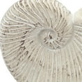 thumbnail image 5 of A&B Home and and Cement Nautilus Shell Planter with Textured Beige Finish - 11.5x6.7x7.7" S, 5 of 10