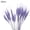 purple, variant on ATJIA 25 Stems 19.69 Inch Dried Wheat Sheaves, Natural Wheat Stalks Bundle Fall Arrangement for DIY Craft, Home Table, Wedding, Indoor