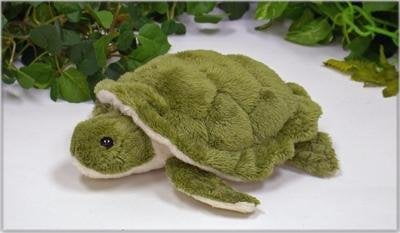 wishpets turtle