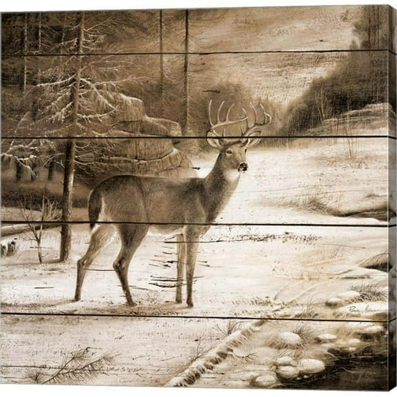 Metaverse C910902-0120000-AAAACMA Shadows of the Forest by Ruane Manning Canvas Wall Art - 12 x 12 in.