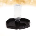 thumbnail image 3 of 1pc Small Pet Feeding Bowl Drinking Foods Feeder Container for Lizard Turtle Reptile (Coffee), 3 of 9