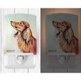 thumbnail image 2 of Caroline's Treasures 7240CNL Long Haired Red Dachshund Ceramic Night Light, 6x4x3", multicolor, 2 of 2