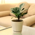 thumbnail image 6 of 4 inch Oatmeal Minimalist Pot with Saucer - Pot for Houseplants and Succulents - Modern Minimalist Pot - Pot with Saucer and Drainage Hole, 6 of 7