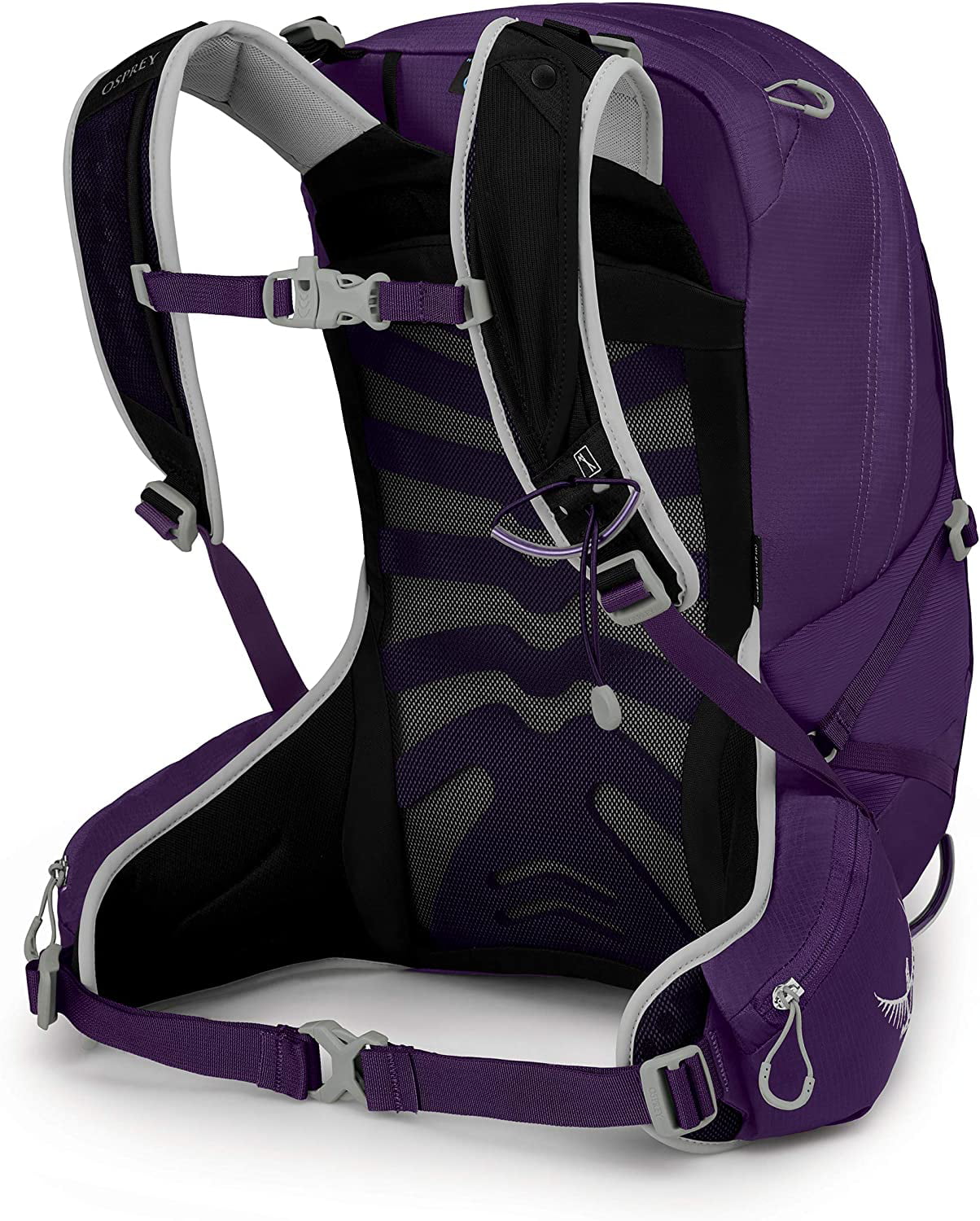 Osprey Tempest 20 Women's Hiking Backpack , Violac Purple, X-Small 