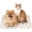 White Paw, variant on Soft Dog Crate Bed Mat, Comfortable Kennel Pad for Dogs & Cats, Washable Durable Pet Bed for Home & Crate Use