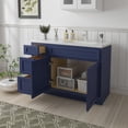 thumbnail image 3 of 42 in. W x 21 in. D x 32.5 in. H Bath Vanity Cabinet without Top in Blue, 3 of 5
