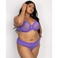 thumbnail image 3 of Curvy Couture Women's Plus Size Sheer Mesh High Cut Brief Panty, 3 of 4