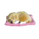 thumbnail image 1 of Muñeco de peluche de perro durmiendo de simulación de Yoone para niños con sonido, 1 of 7