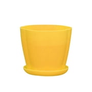 Yesbay Plastic Flower Pot Succulents Plant Bonsai Ornament Planter Decoration Container,Yellow XS
