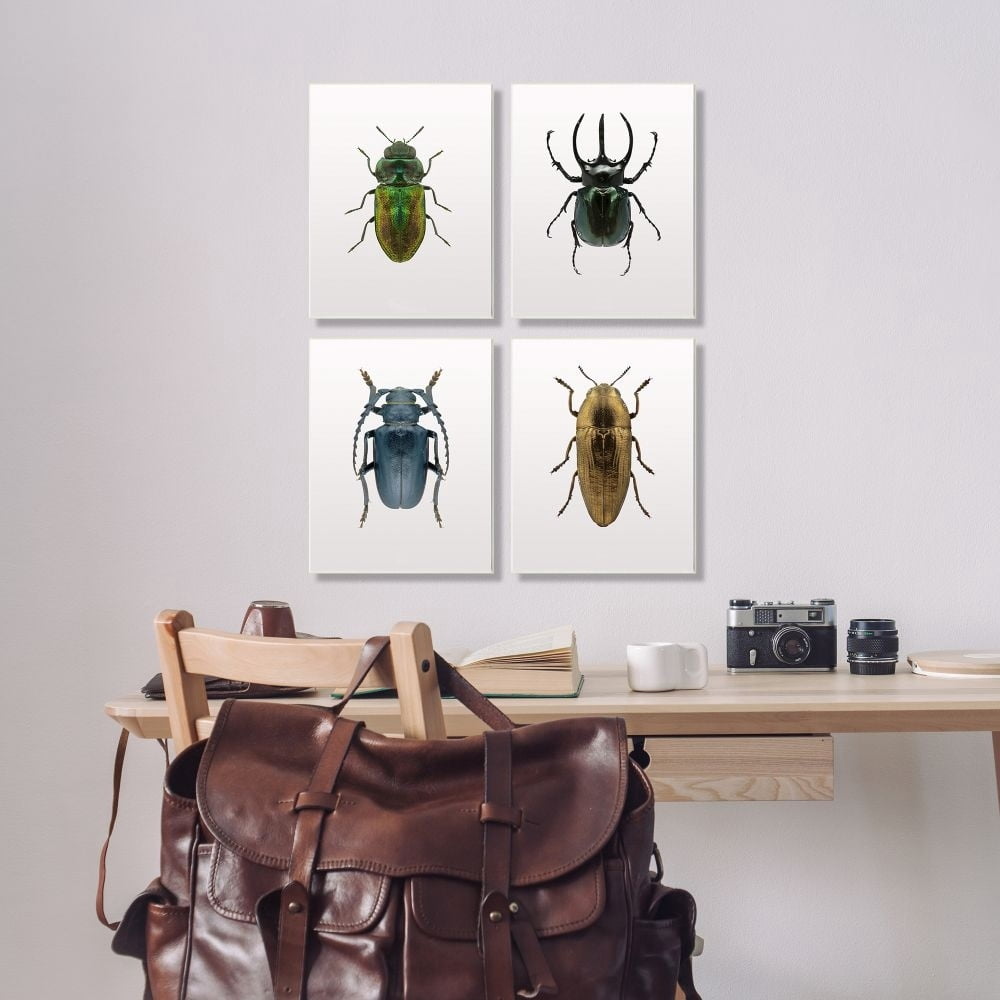 Stupell Industries Colorful Insect Collection Photographs Wall Plaque by Design Fabrikken