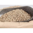 thumbnail image 1 of Grains de Seigle, 1 of 1