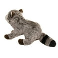 thumbnail image 4 of Douglas : Douglas Ringo Raccoon, 4 of 4