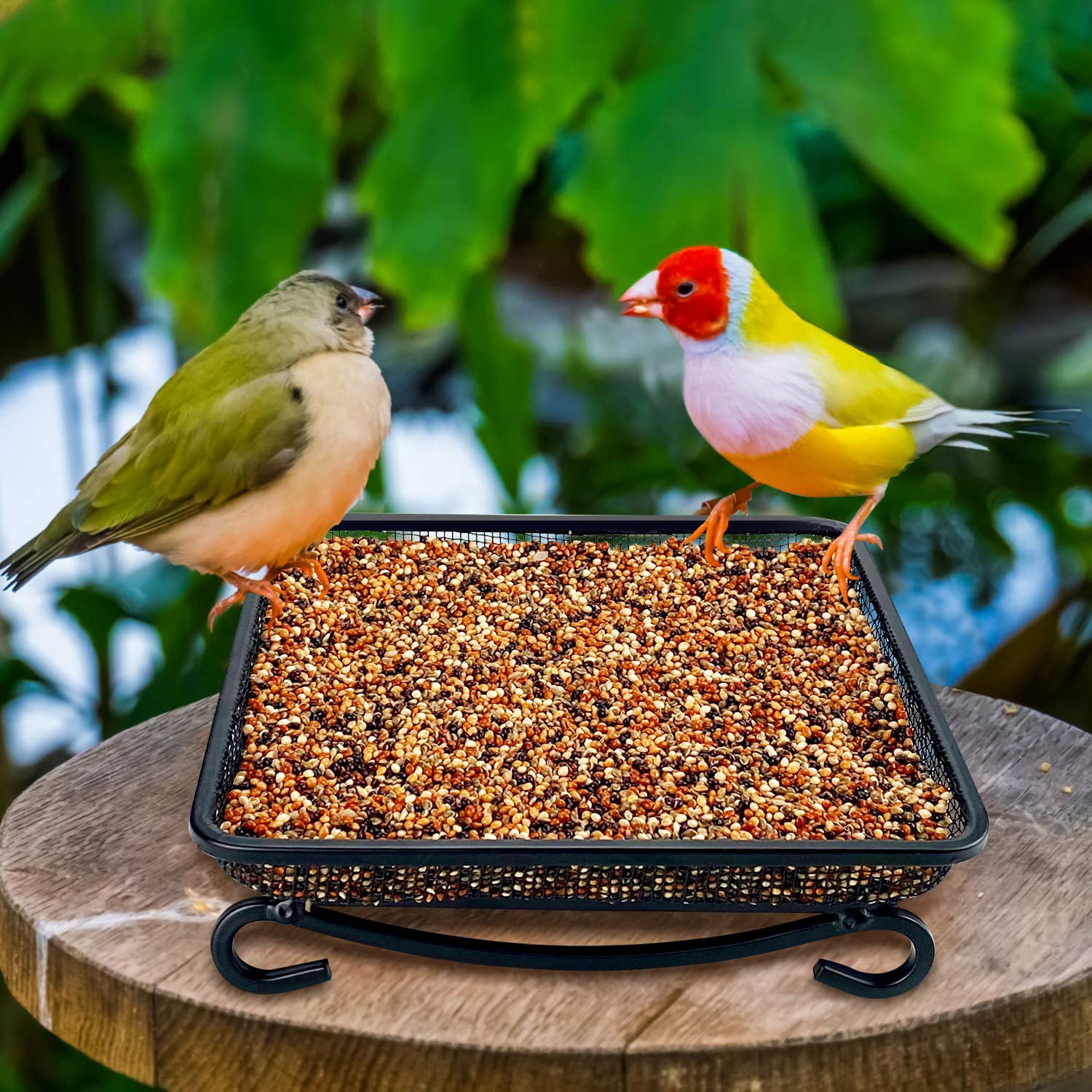 Outdoor Ground Bird Feeder Platform, Metal Mesh Seed Tray Feeder, Ideal Backyard Garden Decor for Attracting Wild Birds Squirrels & Doves