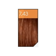 Loreal Professionnel Paris Inoa 7.43/7CG Copper Golden Blonde ODS2 Ammonia-Free